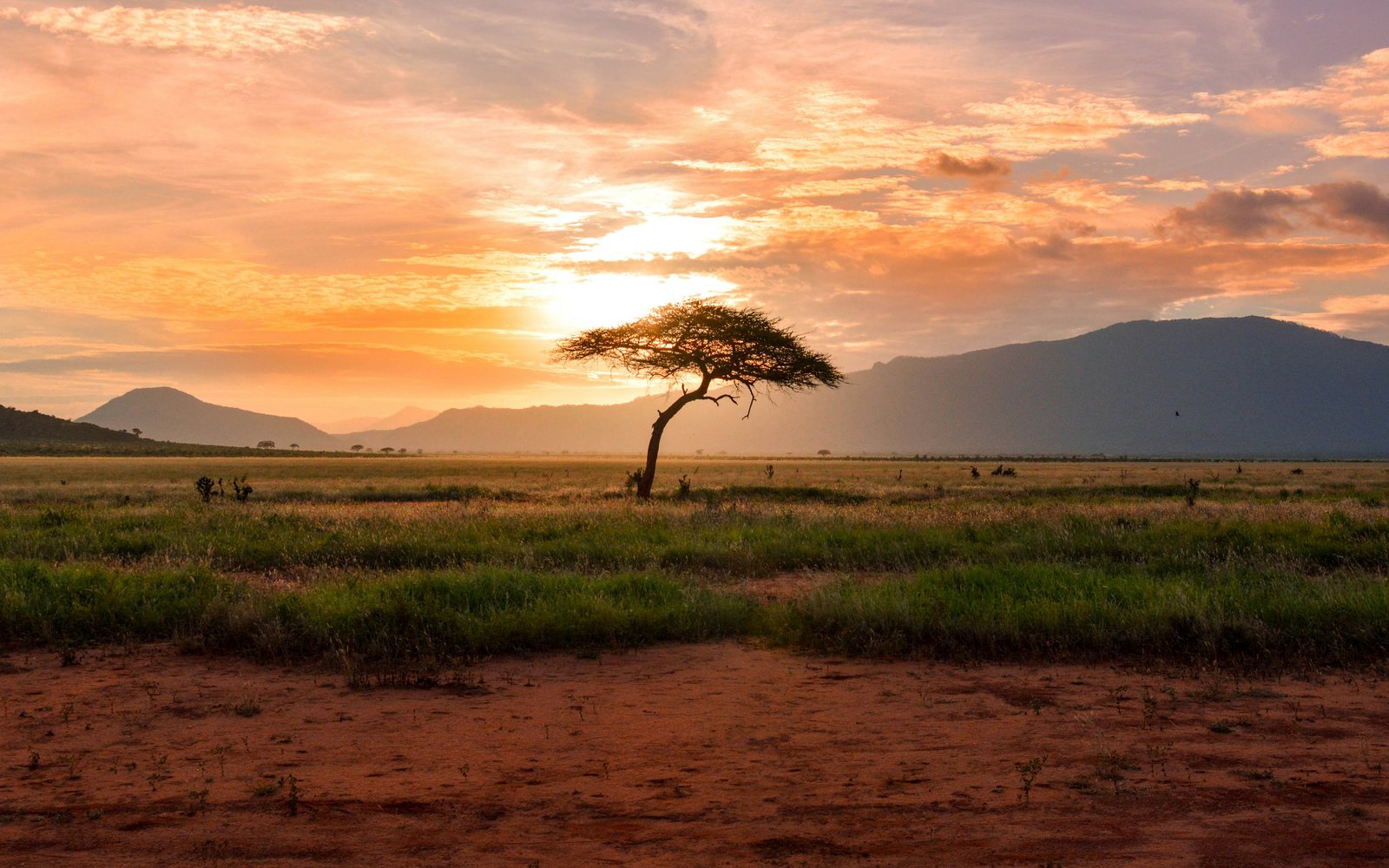 Kenya